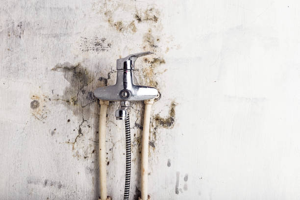 Best Mold Testing  in Lawrence, NY