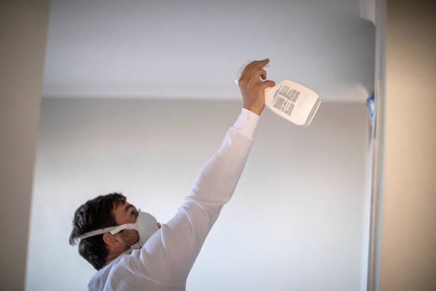 Best Toxic Mold Removal  in Lawrence, NY