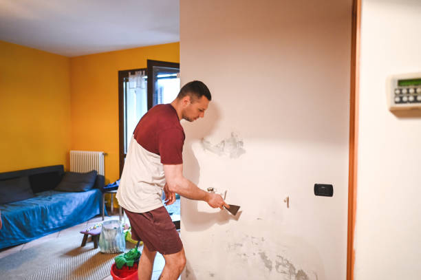 Crawl Space Mold Removal in Lawrence, NY